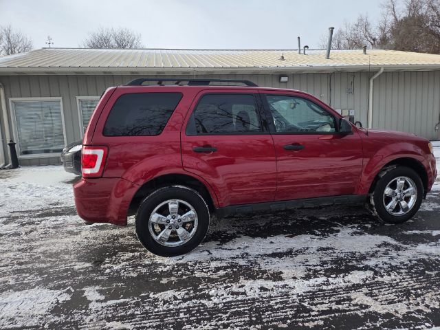 2010 Ford Escape XLT Elgin IL