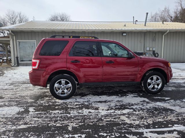 2010 Ford Escape XLT Elgin IL