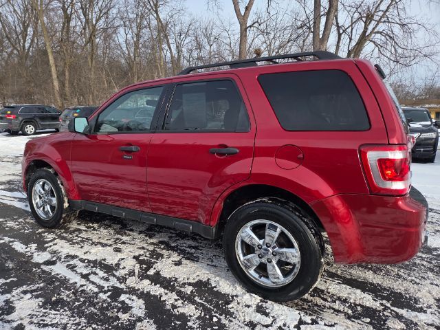 2010 Ford Escape XLT Elgin IL