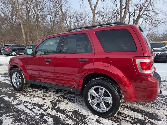 2010 Ford Escape XLT Elgin IL