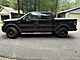 2010 Ford F-150  Fond du Lac WI