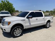 2010 Ford F-150 Goldthwaite TX 2010 Ford F-150 Goldthwaite TX