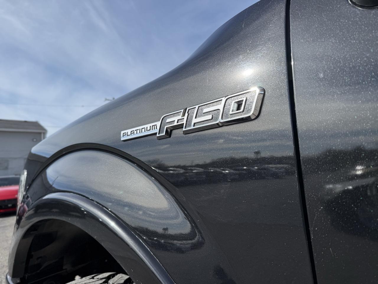 2010 Ford F-150 Platinum