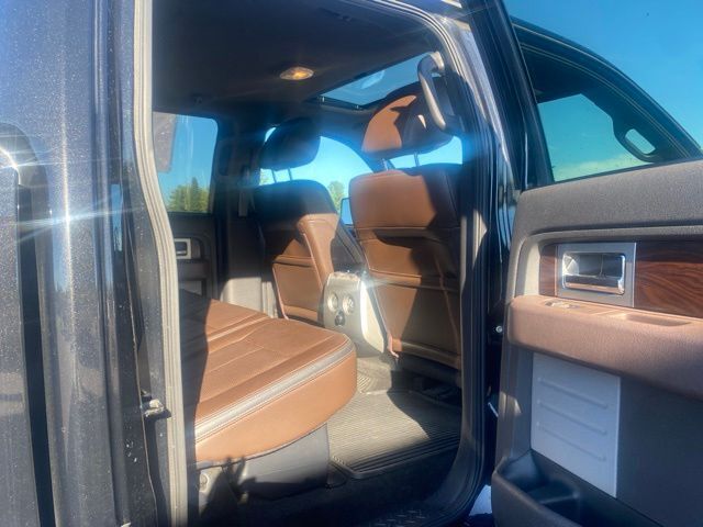 2010 Ford F-150 Platinum Pine River MN