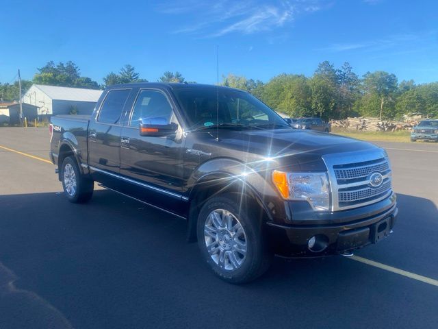 2010 Ford F-150 Platinum Pine River MN