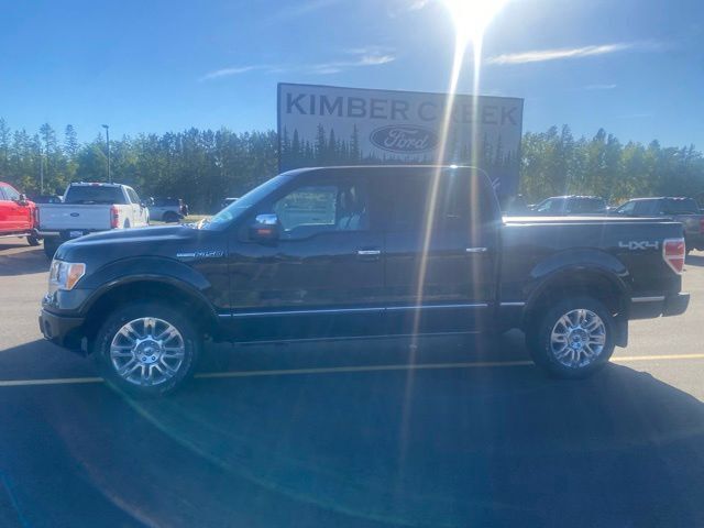 2010 Ford F-150 Platinum Pine River MN