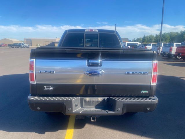 2010 Ford F-150 Platinum Pine River MN