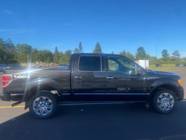 2010 Ford F-150 Platinum Pine River MN