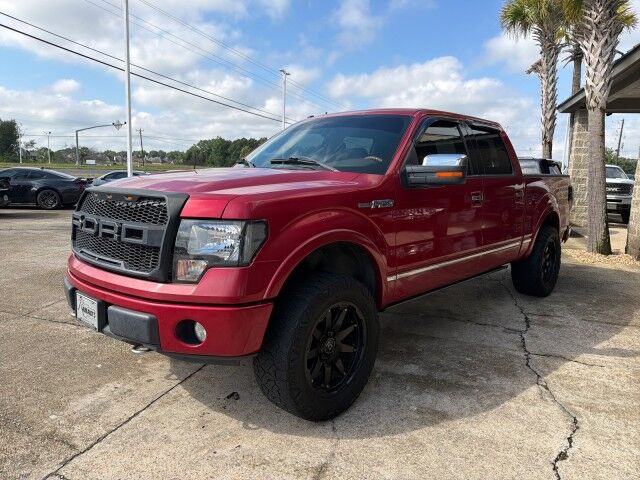 2010 Ford F-150 SuperCrew 4WD Platinum Lafayette LA