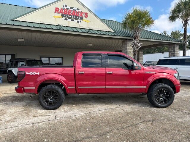 2010 Ford F-150 SuperCrew 4WD Platinum Lafayette LA