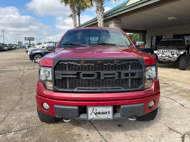 2010 Ford F-150 SuperCrew 4WD Platinum Lafayette LA