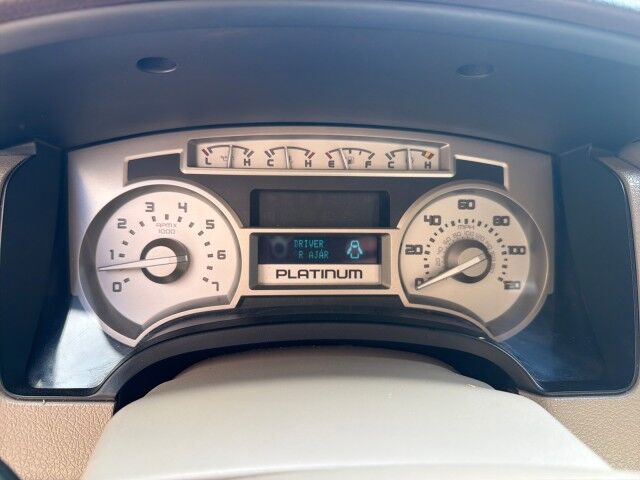 2010 Ford F-150 SuperCrew 4WD Platinum Lafayette LA