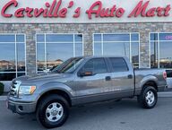2010 Ford F-150 XLT Grand Junction CO 2010 Ford F-150 XLT Grand Junction CO
