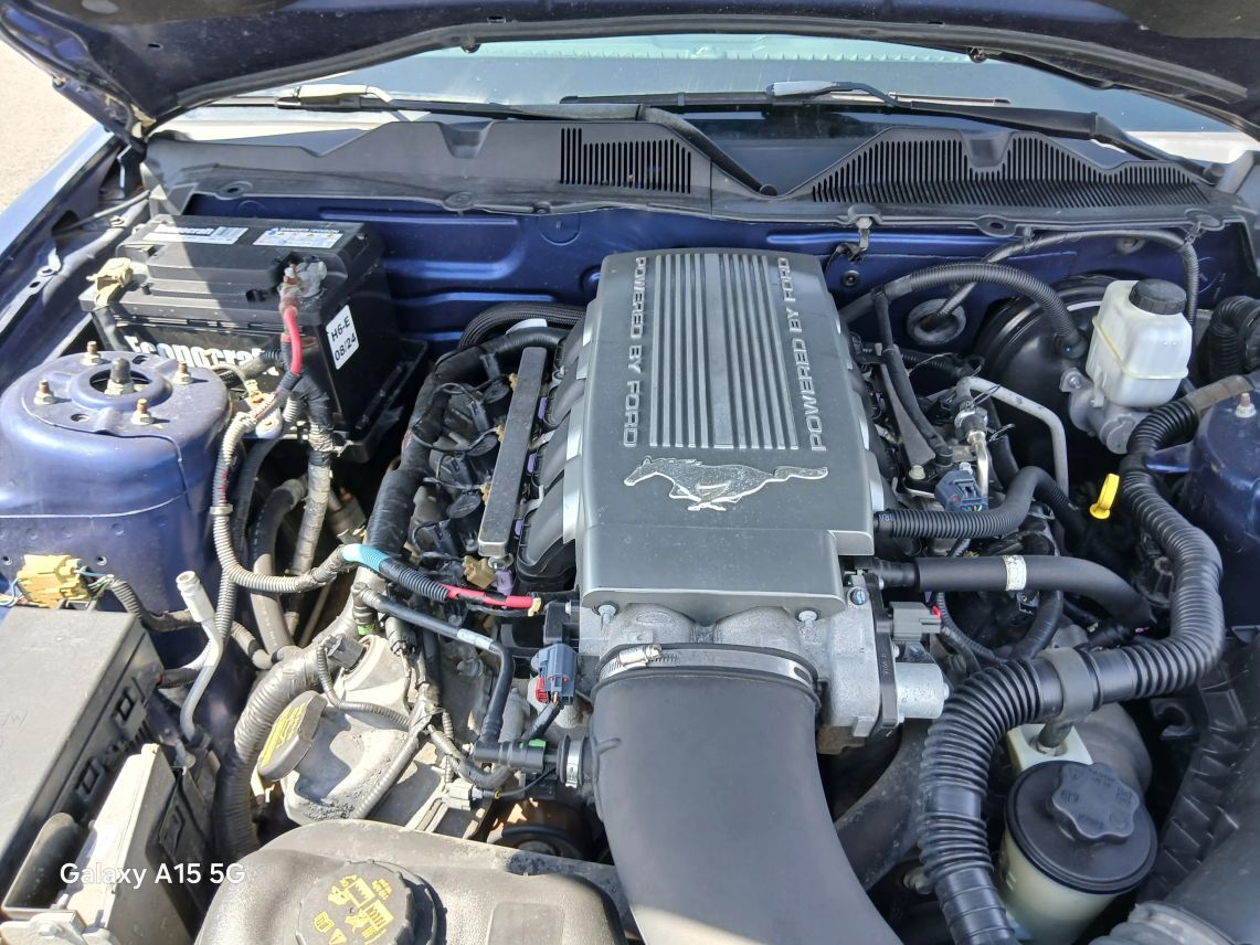 2010 Ford Mustang GT Coupe 2D Maitland FL