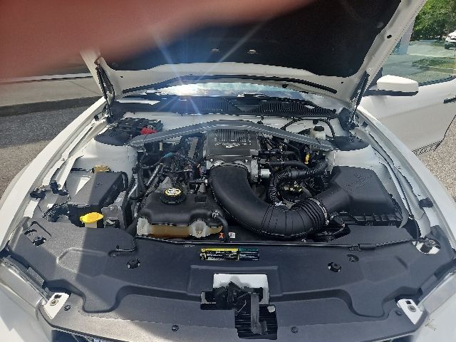 2010 Ford Mustang GT Premium Jacksonville FL