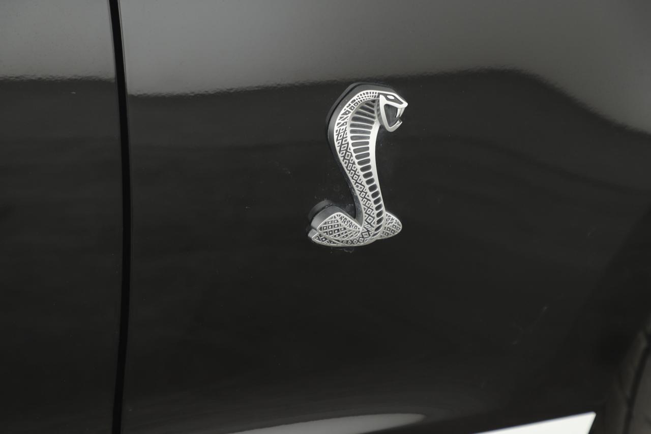 2010 Ford Mustang GT500 New Braunfels TX