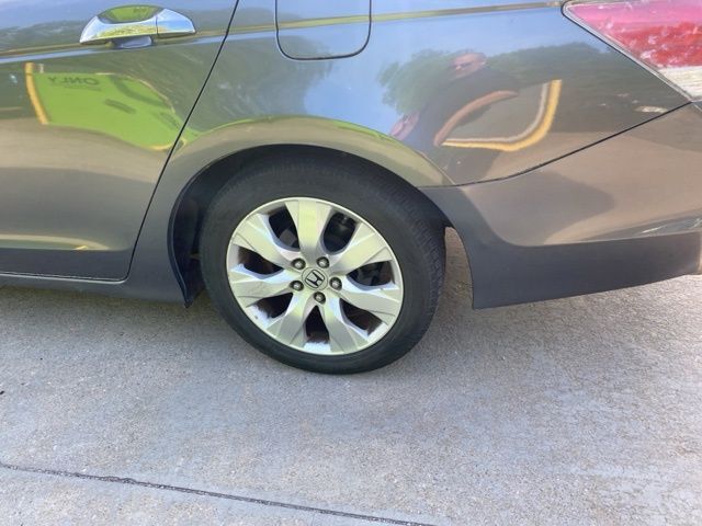 2010 Honda Accord EX-L Raleigh NC
