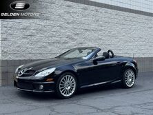 Mercedes-Benz SLK 300 SLK 300 2010