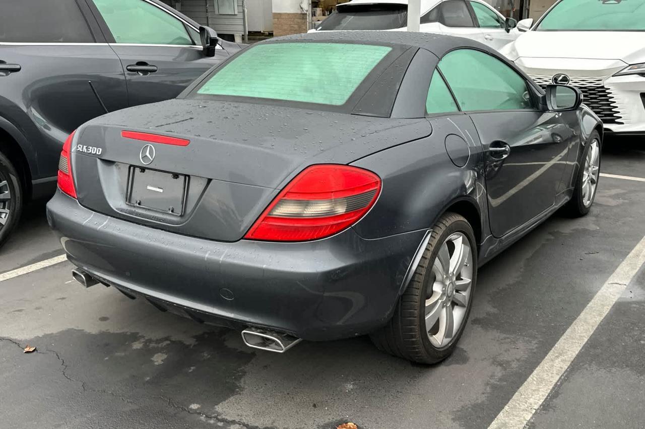 2010 Mercedes-Benz SLK-Class SLK 300