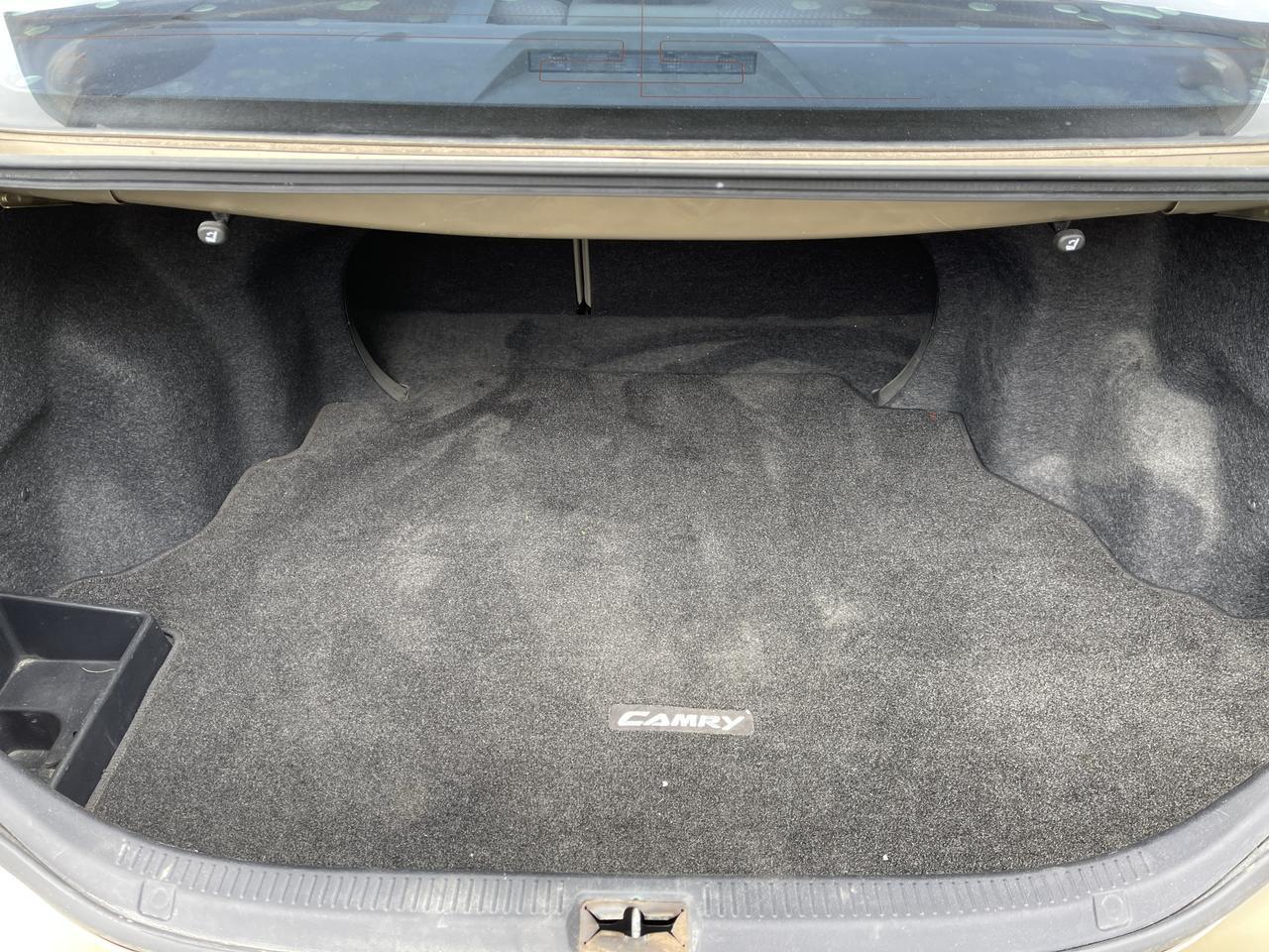 2010 Toyota Camry XLE Hayden ID