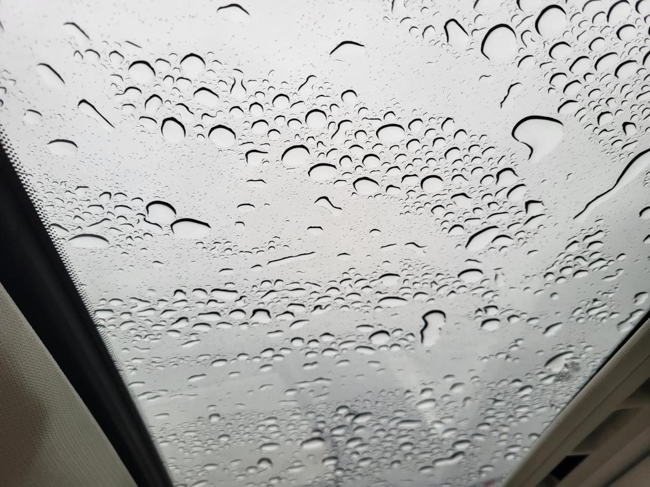 2011 Audi A4 4dr Sdn CVT FrontTrak 2.0T Premium Plus Beeville TX