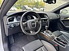 2011 Audi S5 Premium Plus Willow Grove PA