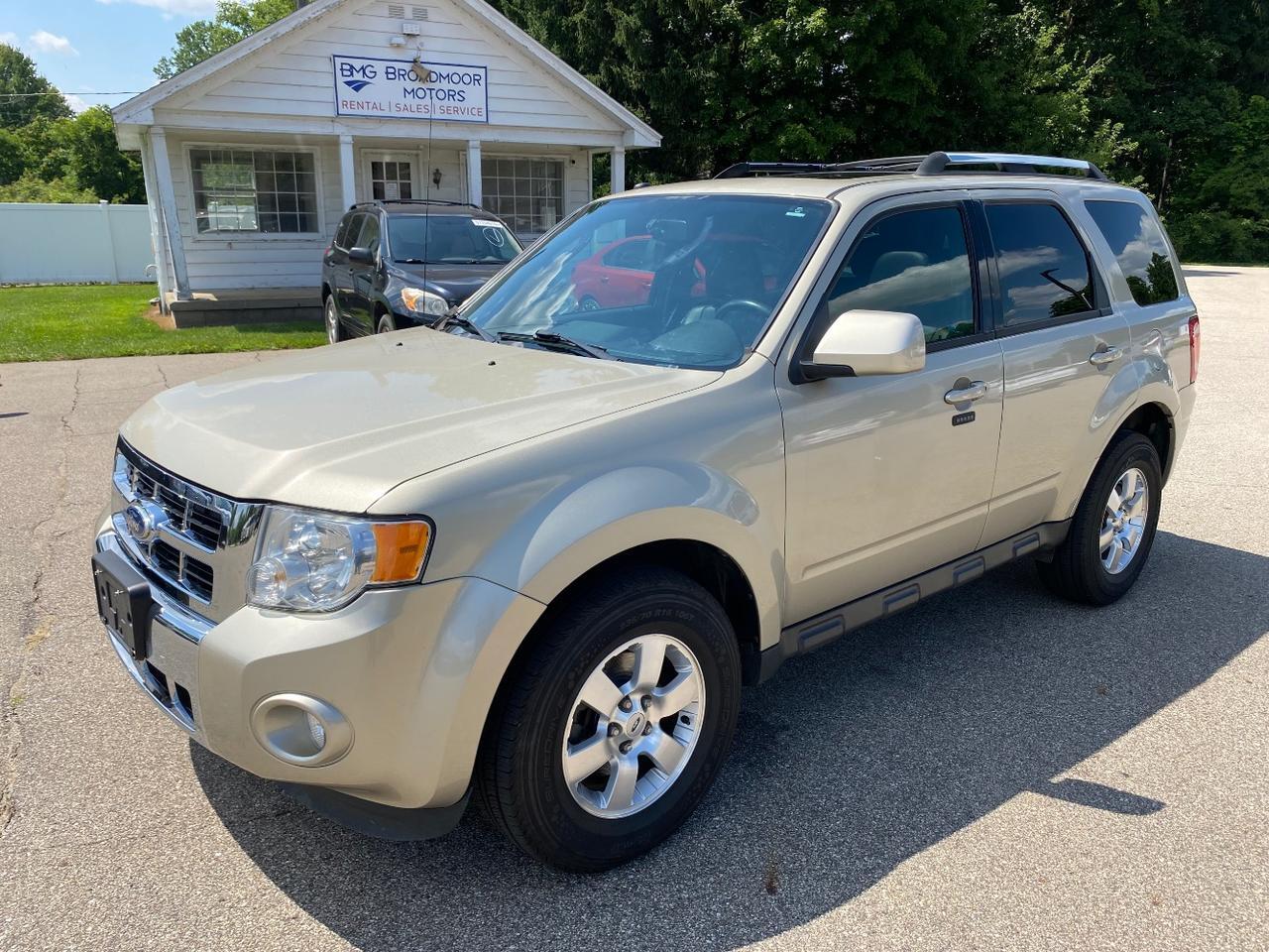 2011 Ford Escape Limited Hastings MI