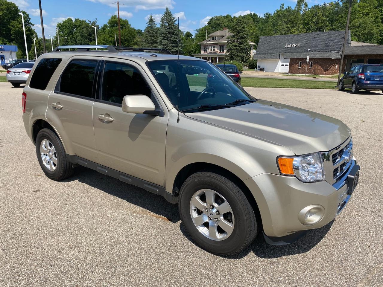 2011 Ford Escape Limited Hastings MI