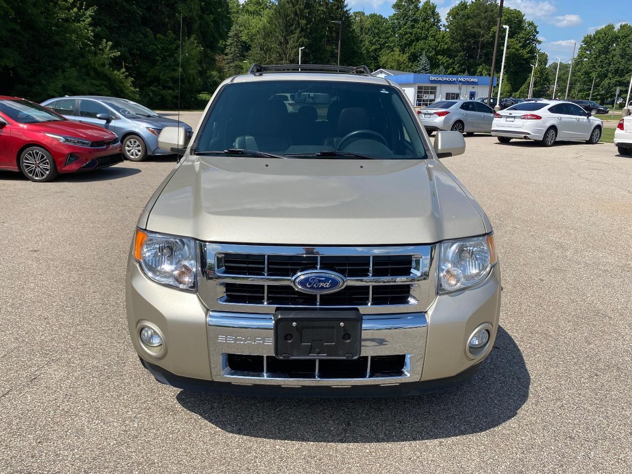 2011 Ford Escape Limited Hastings MI