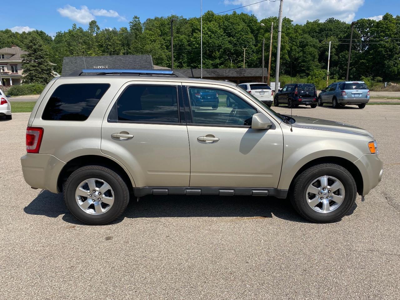 2011 Ford Escape Limited Hastings MI