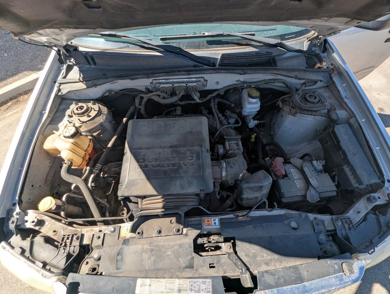 2011 Ford Escape XLT Grand Junction CO