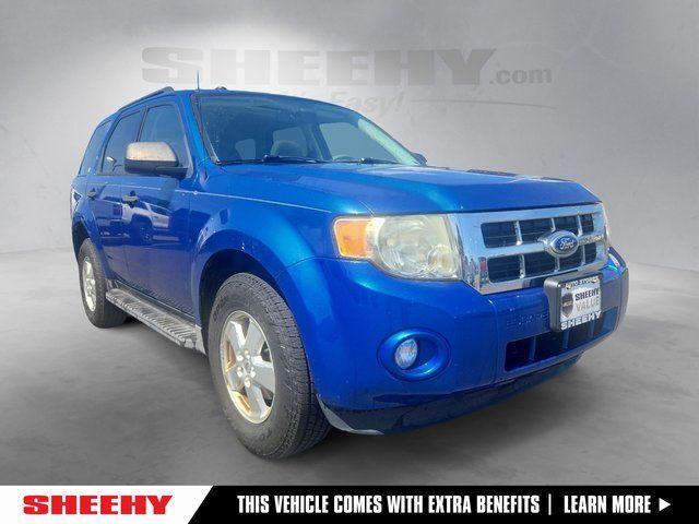 2011 Ford Escape XLT