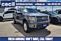 2011 Ford F-150 Platinum  TX