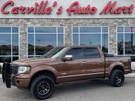 2011 Ford F-150 Platinum Grand Junction CO 2011 Ford F-150 Platinum Grand Junction CO