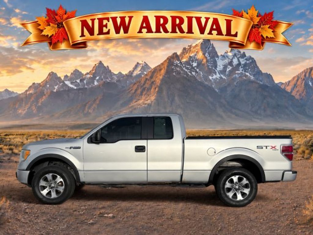 2011 Ford F-150 STX