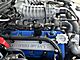 2011 Ford Mustang GT500 Coupe 6-Speed Manual SVT-TrackPack w/19sFront 20sRear Milwaukee WI