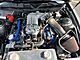 2011 Ford Mustang GT500 Coupe 6-Speed Manual SVT-TrackPack w/19sFront 20sRear Milwaukee WI