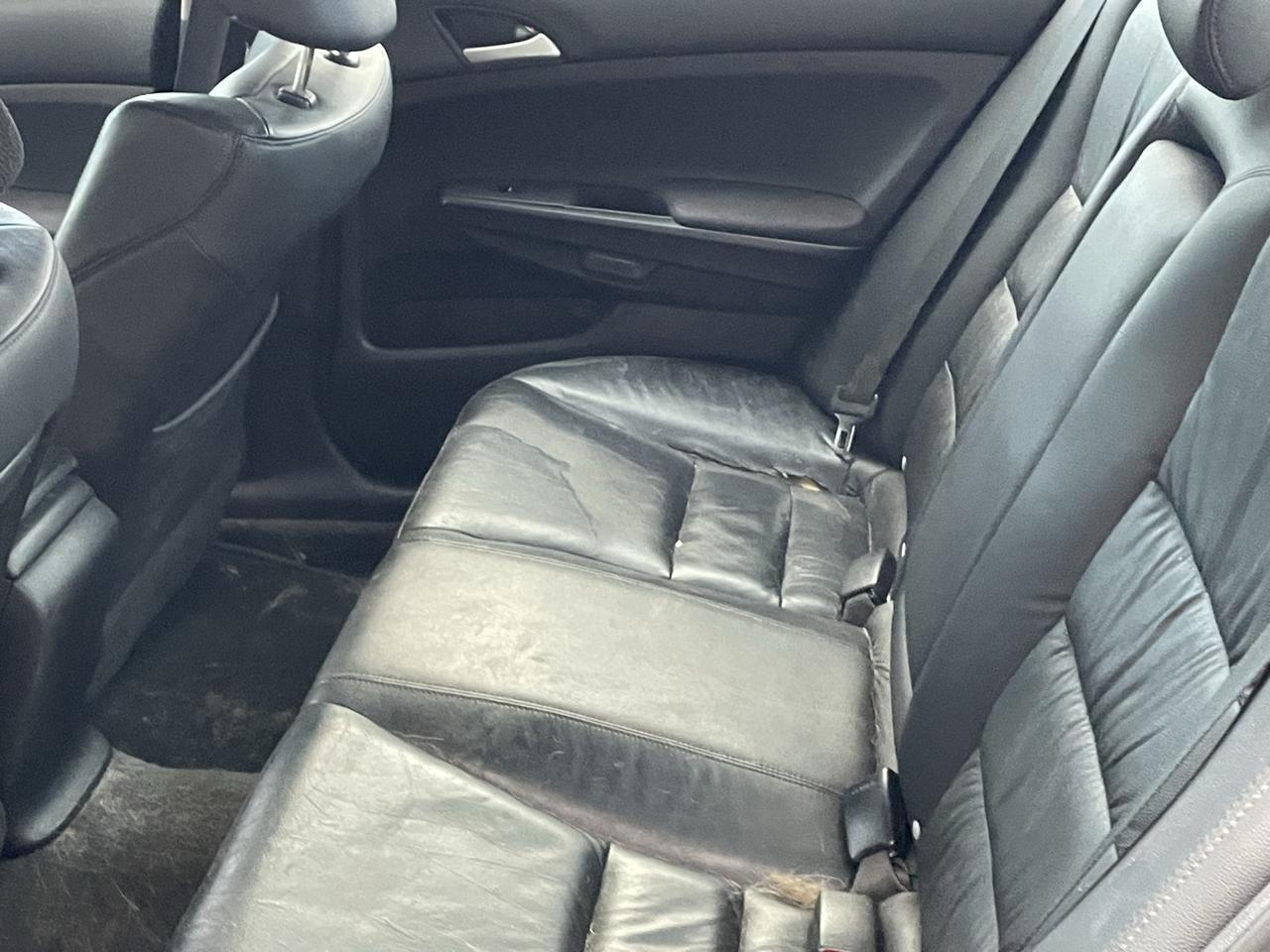 2011 Honda Accord SE Alexandria VA