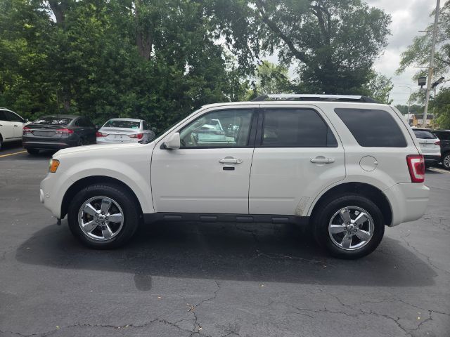 2012 Ford Escape Limited Elgin IL