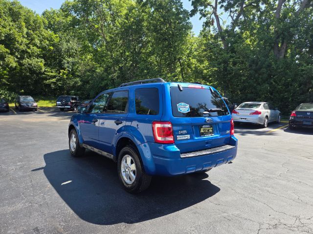 2012 Ford Escape XLT Elgin IL