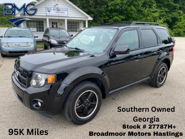 2012 Ford Escape XLT Hastings MI