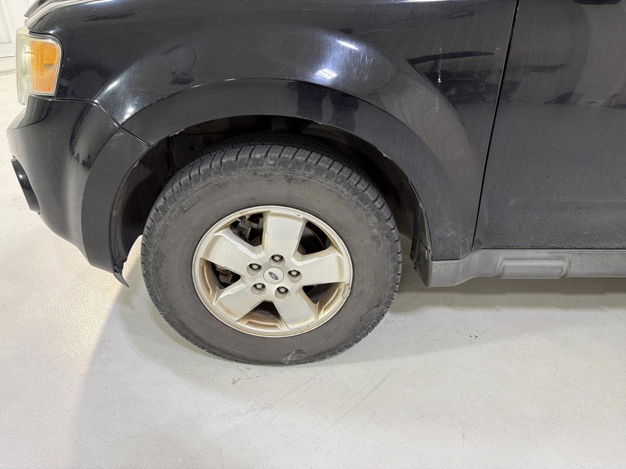 2012 Ford Escape XLT San Antonio TX