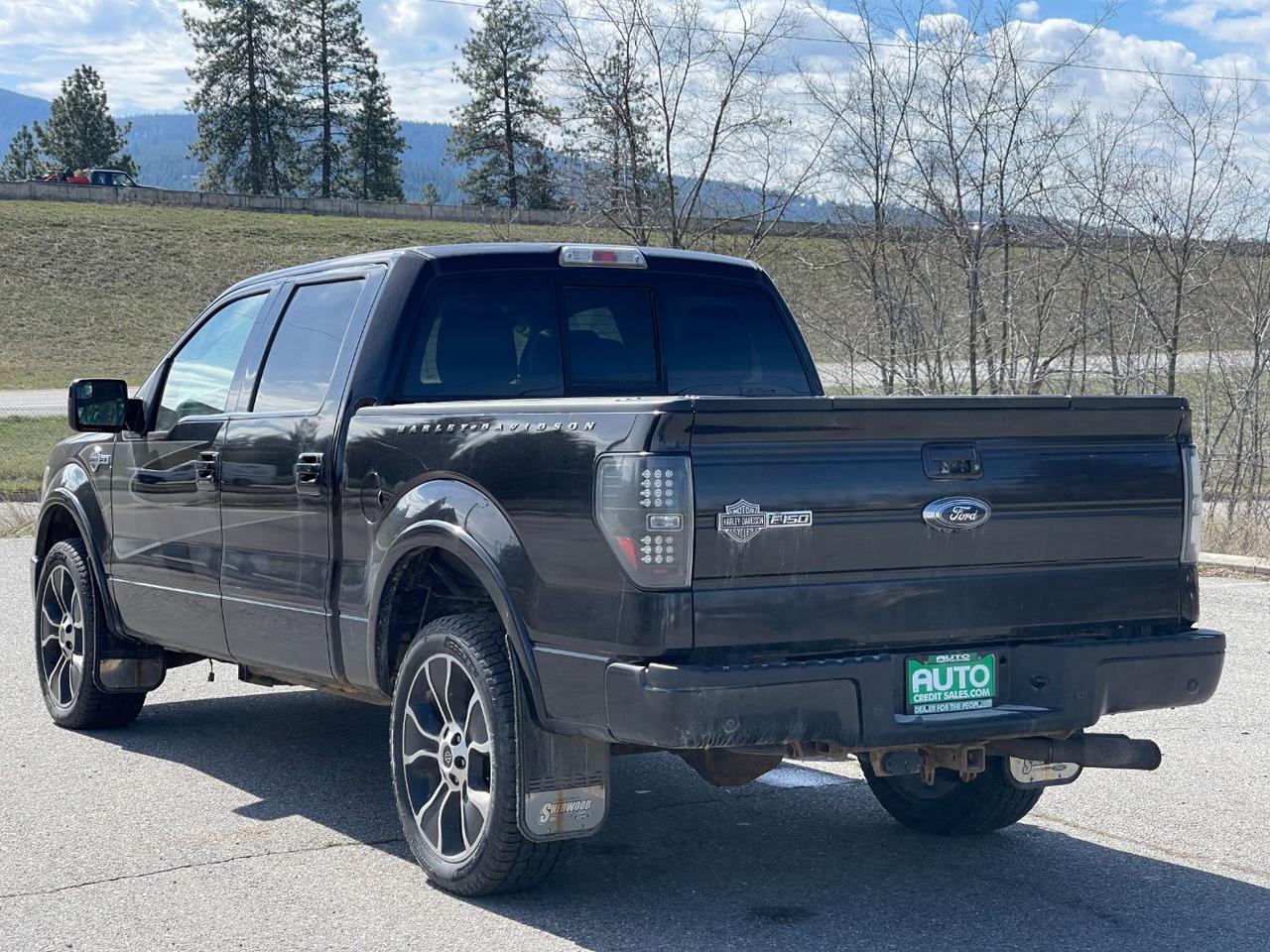 2012 Ford F-150 Harley-Davidson Hayden ID