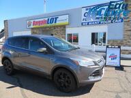 2013 Ford Escape FWD 4dr SEL Eau Claire WI 2013 Ford Escape FWD 4dr SEL Eau Claire WI