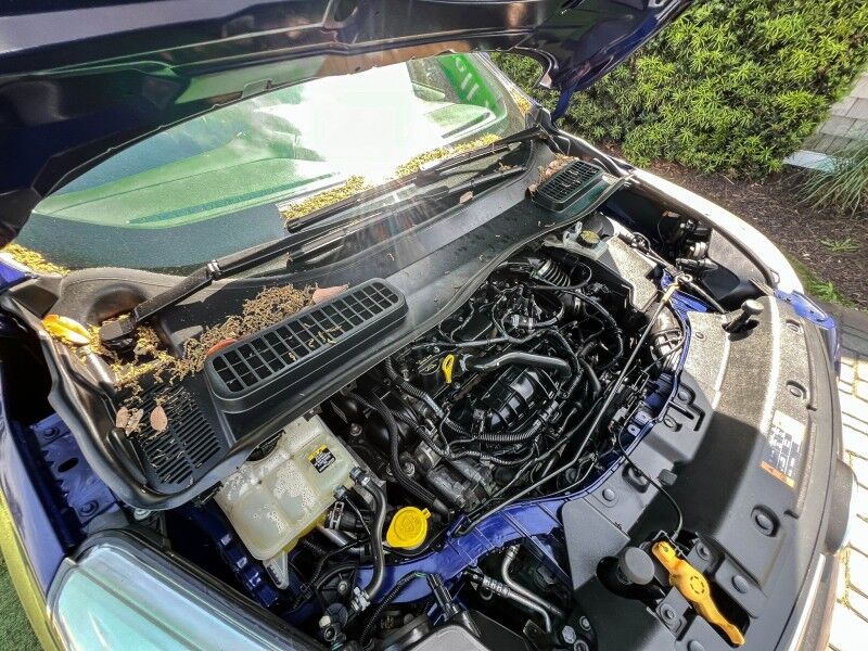 2013 Ford Escape SE Wilmington NC