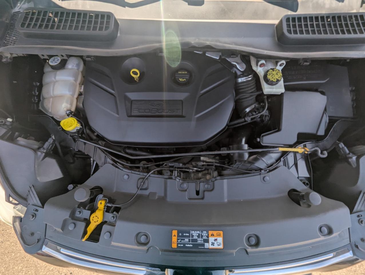 2013 Ford Escape SEL Grand Junction CO