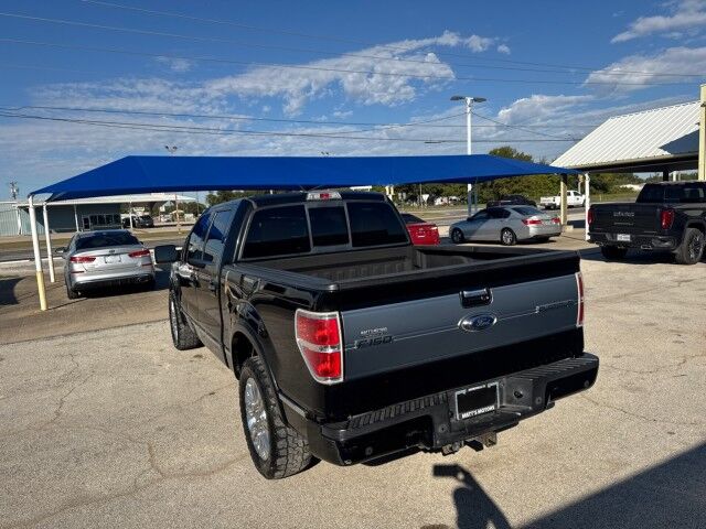 2013 Ford F-150 Platinum