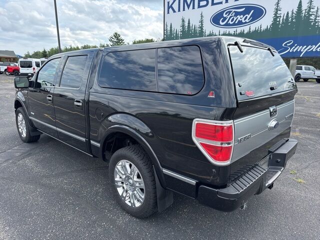 2013 Ford F-150 Platinum Pine River MN