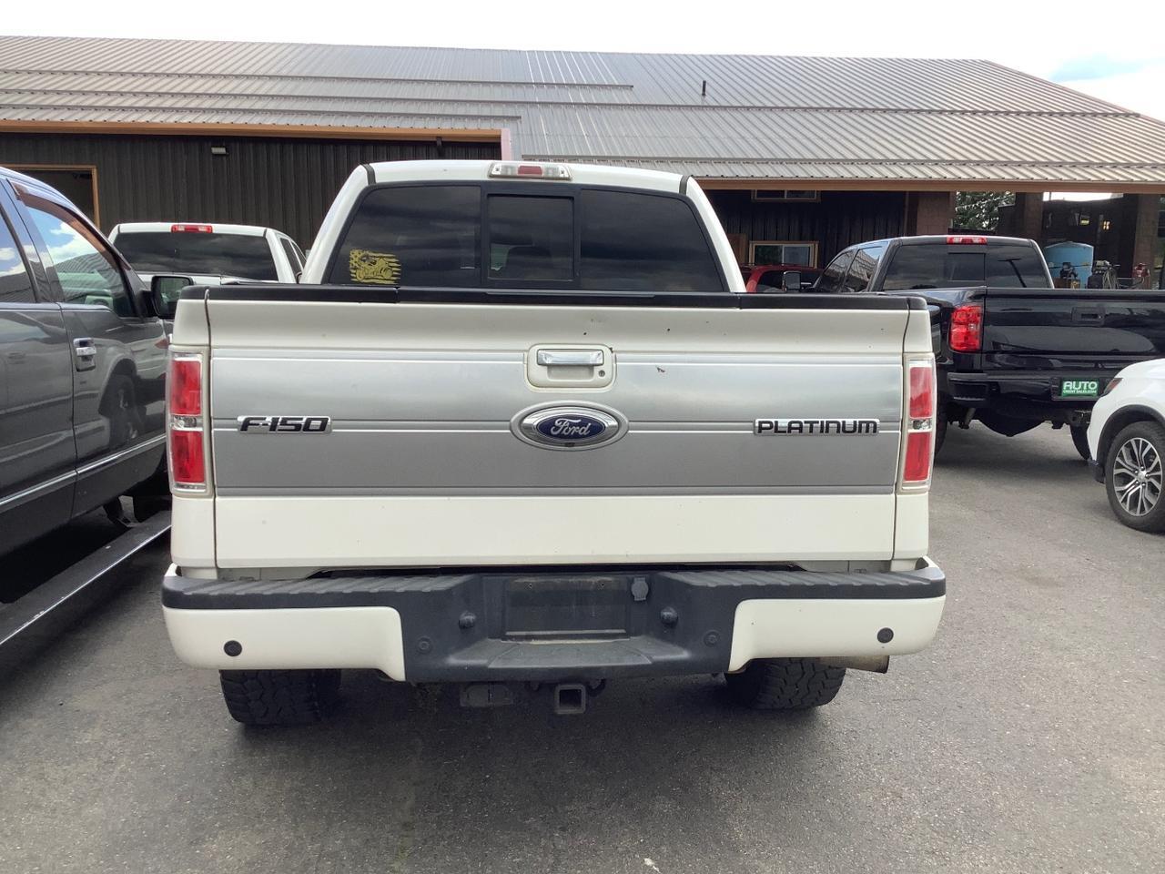 2013 Ford F-150 Platinum Hayden ID