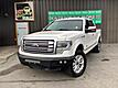 2013 Ford F-150 Platinum